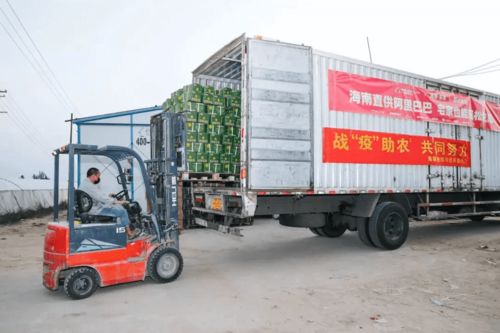 一生只做一件事 的農業科學家,跟阿里巴巴一起做了另一件大事