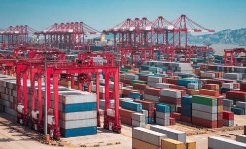 德國貿(mào)易商 擔(dān)心中國廠家春節(jié)休息,加快預(yù)訂中國防疫產(chǎn)品