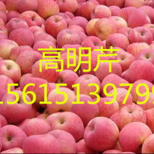 山東農(nóng)副產(chǎn)品購(gòu)銷(xiāo)處 油料及農(nóng)副產(chǎn)品的專(zhuān)業(yè)化收購(gòu)服務(wù)