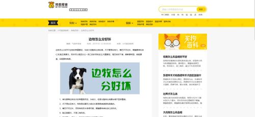 帝國cms 貓貓狗狗寵物網wap pc雙端自適應模板