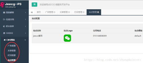 建站神器 cms網站插件 jeecg p3 biz cms 發布